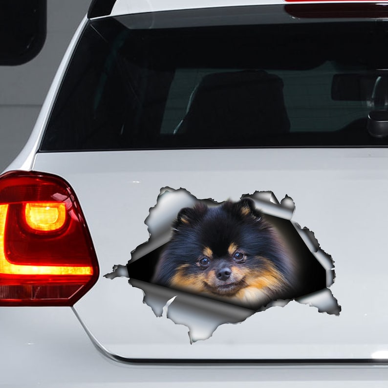 Black and brown Pom decal Pomeranian car decal Pom car Etsy