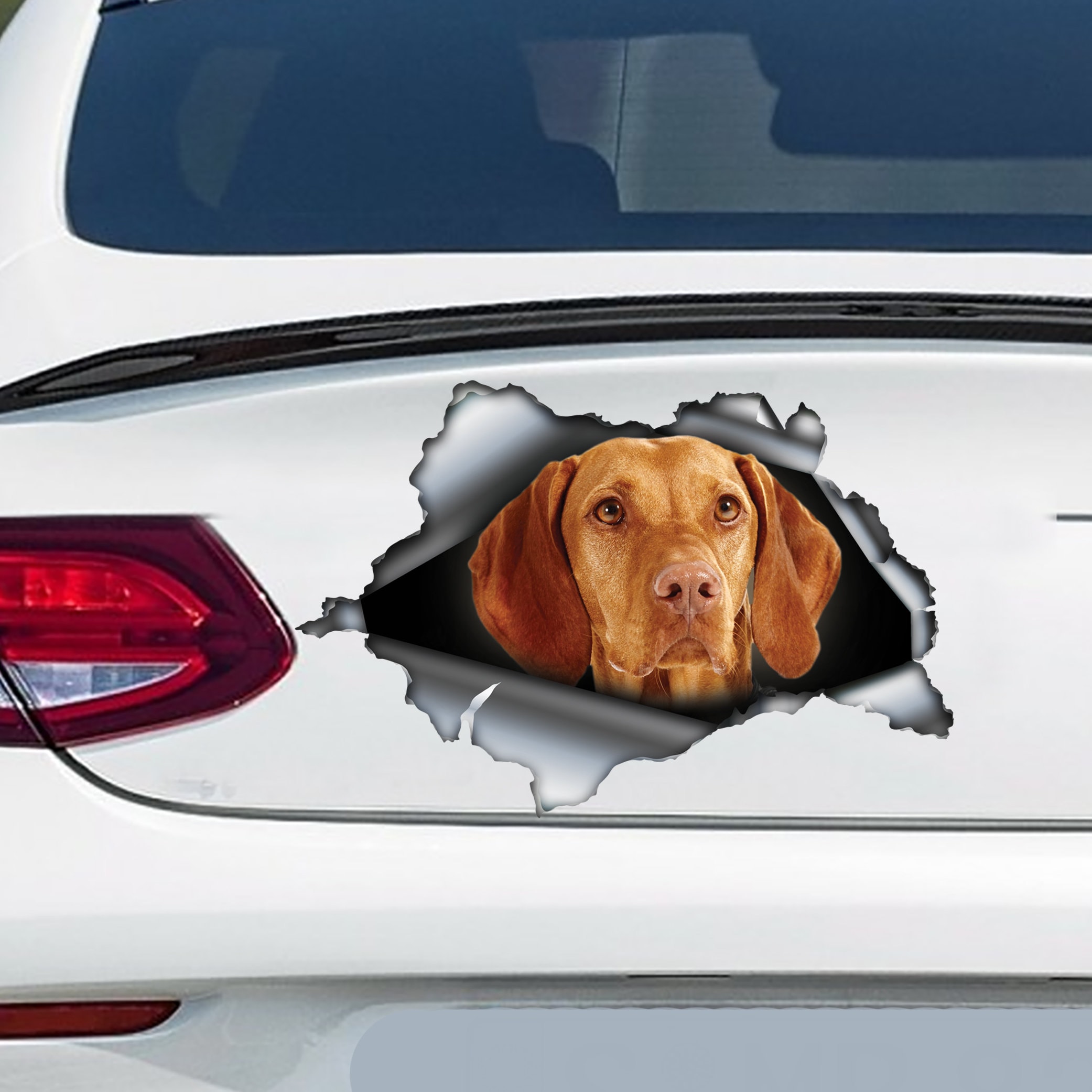 Vizsla car decal - .de