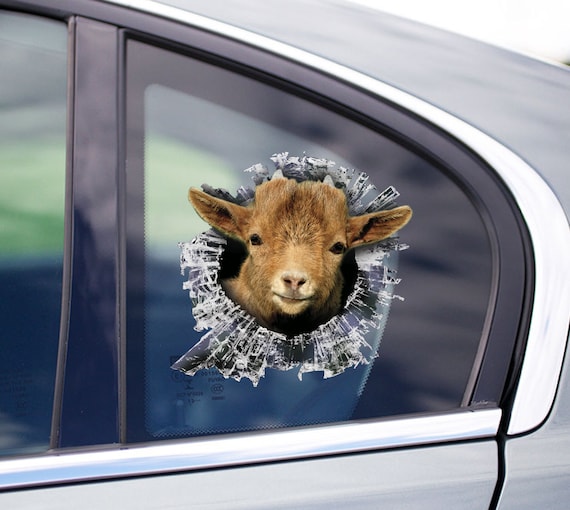 Pygmy Goat Window Decal Pygmy Goat Car Sticker Goat Car Etsy