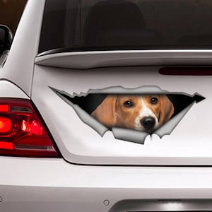 Beagle Auto Aufkleber, Beagle Magnet, Beagle Aufkleber, lustige Aufkleber, Hunde Aufkleber, Haustier Aufkleber
