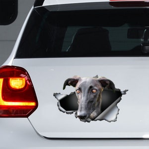 Galgo car decal, Galgo magnet, Galgo car sticker, Galgo fridge magnet
