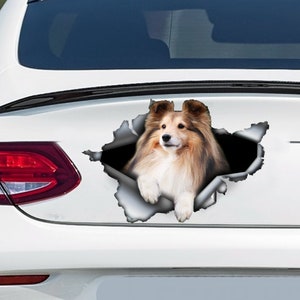 Sheltie car decal , Sheltie magnet,  car decoration, car sticker , Sheltie  sticker