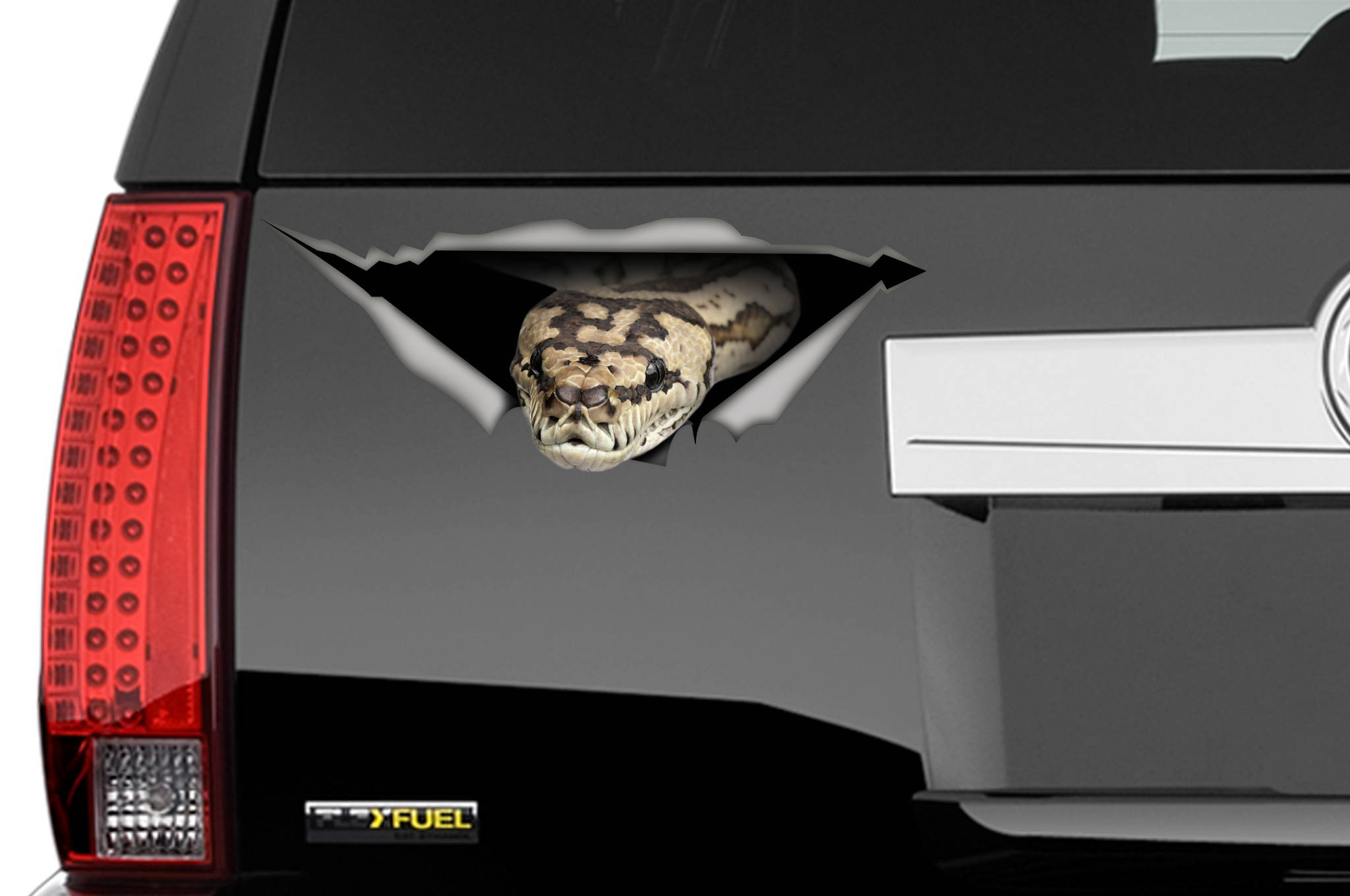 Tiger Python Car Decal Vinyl Decal Car Decoration Snake - Etsy