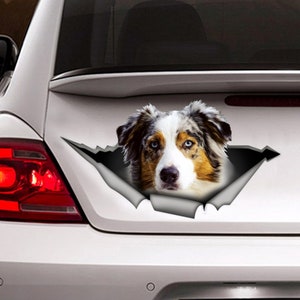 Australian Shepherd car decal,  Aussie magnet, Aussie decal, car decoration, pet decal