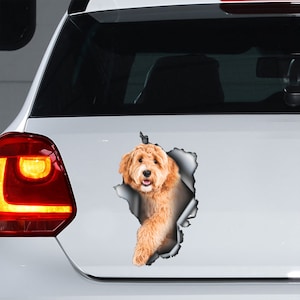 Autocollant de voiture Labradoodle doré, aimant Labradoodle doré, autocollant Labradoodle