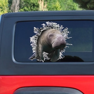 Manatee window decal, car sticker, manatee car decal