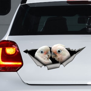 Goffin cockatoo car decal ,Goffin cockatoo sticker , Goffin cockatoo magnet