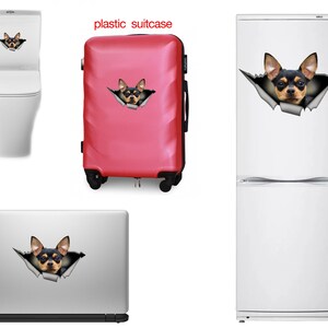 Op de afbeelding: Een zwarte en bruine chihuahua-hond die uit een gescheurd gat in een wit oppervlak kijkt. De hond kijkt recht in de camera. De sticker is te zien op een wit toilet, een rode koffer, een witte koelkast en een zilveren laptop.