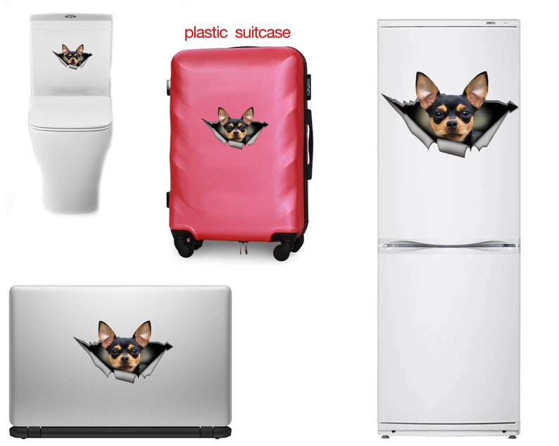 Op de afbeelding: Een zwarte en bruine chihuahua-hond die uit een gescheurd gat in een wit oppervlak kijkt. De hond kijkt recht in de camera. De sticker is te zien op een wit toilet, een rode koffer, een witte koelkast en een zilveren laptop.