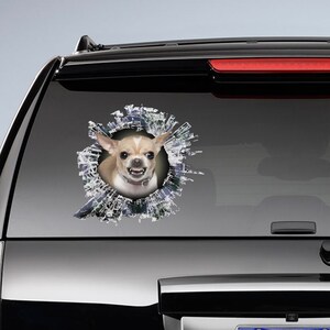 Op de afbeelding: Een chihuahua met een witte en bruine vacht kijkt recht in de camera met zijn bek open, waardoor zijn tanden zichtbaar zijn. De hond bevindt zich in een sticker met een gebroken raam, met een blauw en wit patroon.