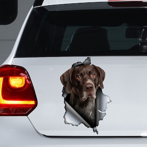 German Shorthair pointer decal, German Shorthair pointer magnet, German Shorthair pointer sticker