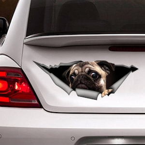 Puede incluir: Un coche blanco con una pegatina de un perro carlino asomándose por un agujero rasgado. La pegatina está en la ventana trasera del coche.
