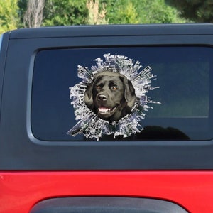 May include: Black Labrador Retriever dog head peeking through a cracked window on a red car. The dog is looking directly at the camera with a happy expression.