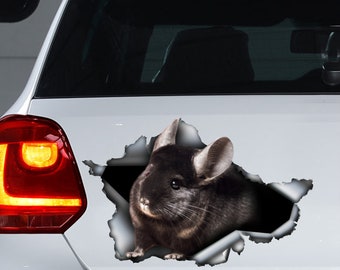 Autocollant de voiture Chinchilla noir, aimant chinchilla noir, autocollant chinchilla mignon