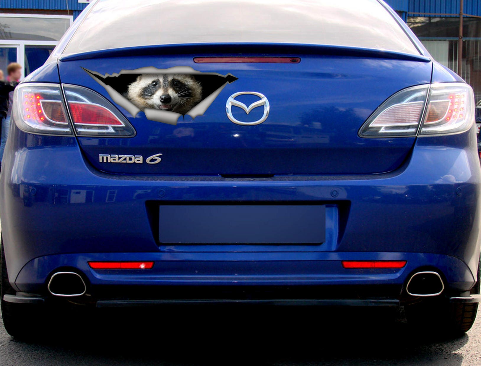 Raccoon Car Decal Animal Decal 3D Sticker Vinyl Decal Etsy