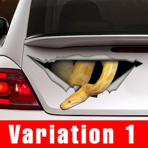 May include: A yellow snake peeking out of a ripped hole in a white car. The snake is curled up and its head is facing the viewer. The car is a generic sedan with a rear window and a rear taillight.