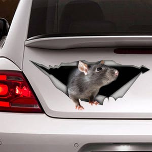 Rat decal,  car decal, Vinyl decal, car decoration, animal decal, pet decal