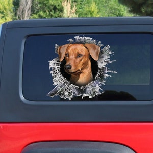 Brown Pinscher window decal,  German Pinscher  sticker, German Pinscher car decal, brown Pinscher car decal