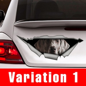 Weimaraner car  decal , pet decal,  Vinyl decal, weimaraner sticker, funny  decal, dog sticker