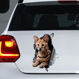 Serval decal , Serval car sticker, Serval magnet