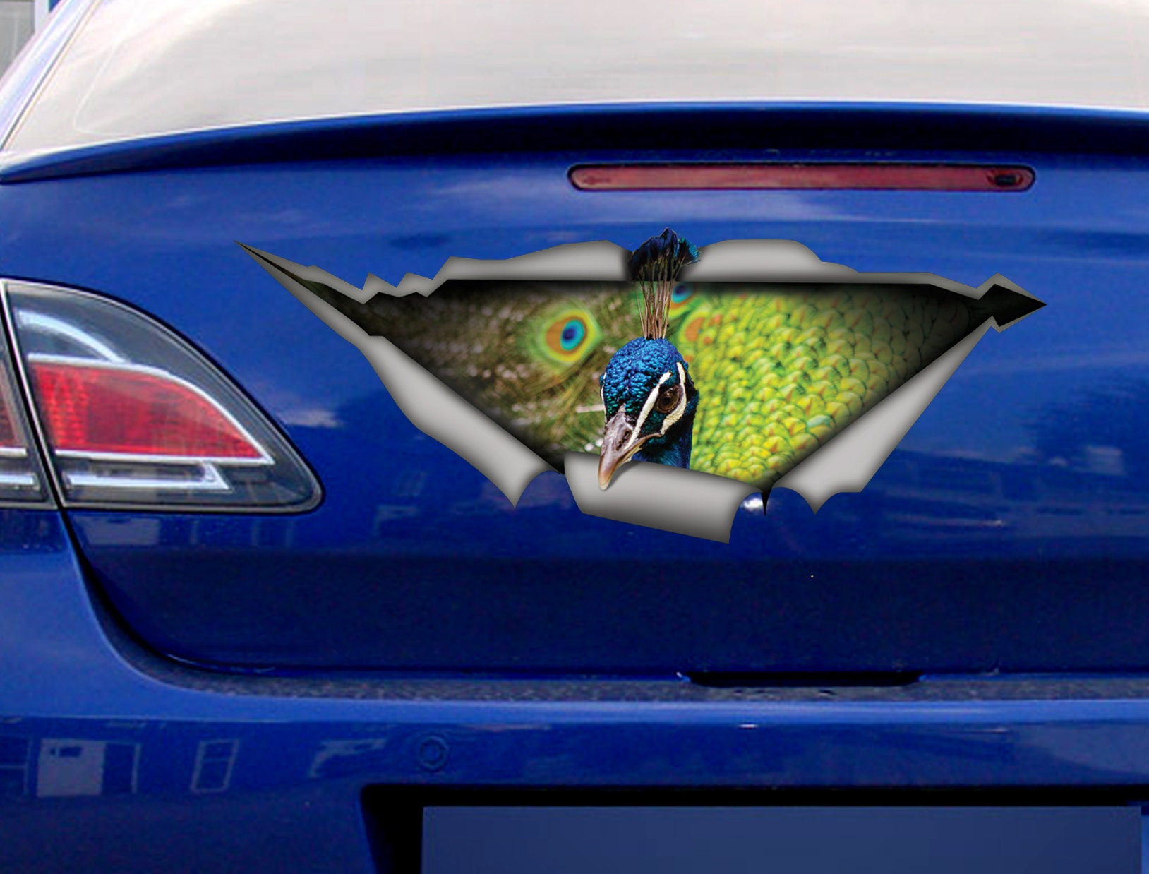 Peacock Car Decal Funny Car Sticker Bird Decal Peacock Etsy Australia