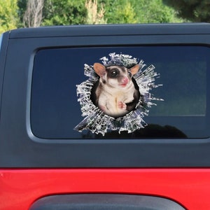 Sugar Glider window decal,  Sugar Glider car decal, funny Sugar Glider  sticker