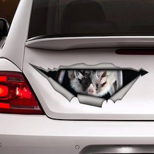 Sticker, Bat car sticker , bat  decal, animal sticker