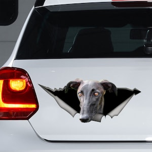 Galgo decal, Galgo car sticker, Galgo magnet, dog car decal, custom decal