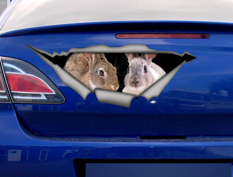 Rabbits Sticker, Bunny Car Decal, Vinyl Decal, Car Decoration, Pet ...