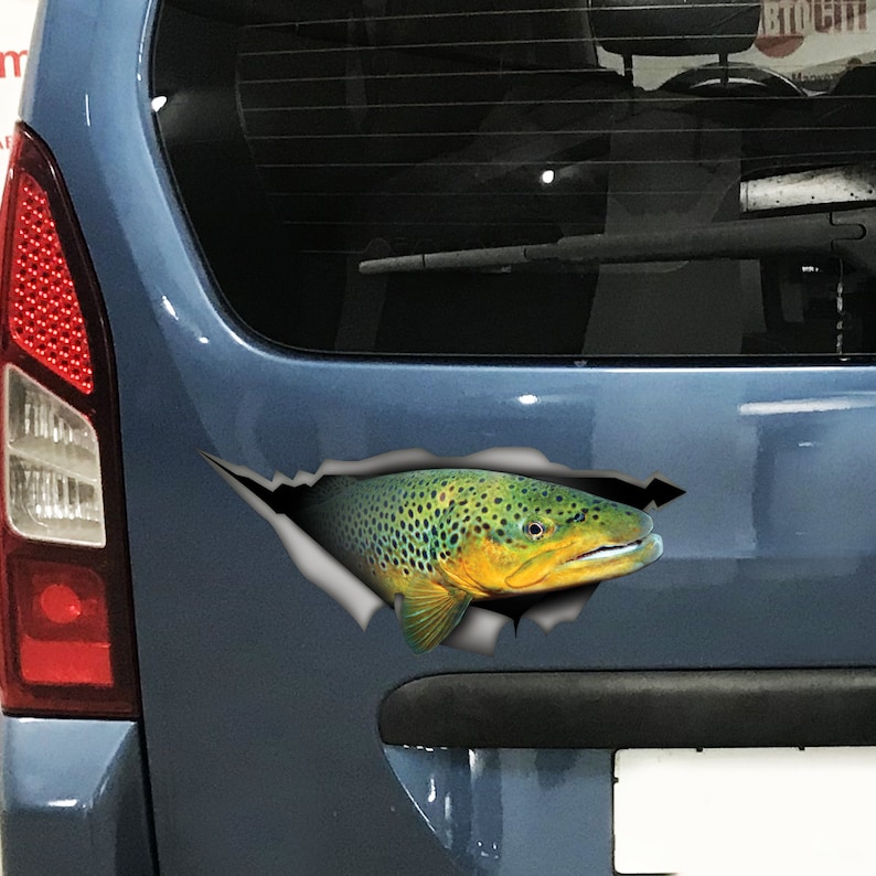Trout Car Decal Trout Trout Sticker Fishing Decal Etsy