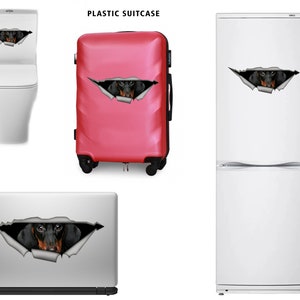 May include: A black and brown dachshund dog peeking out of a torn hole on a variety of surfaces, including a toilet, a pink suitcase, a laptop, and a white fridge.