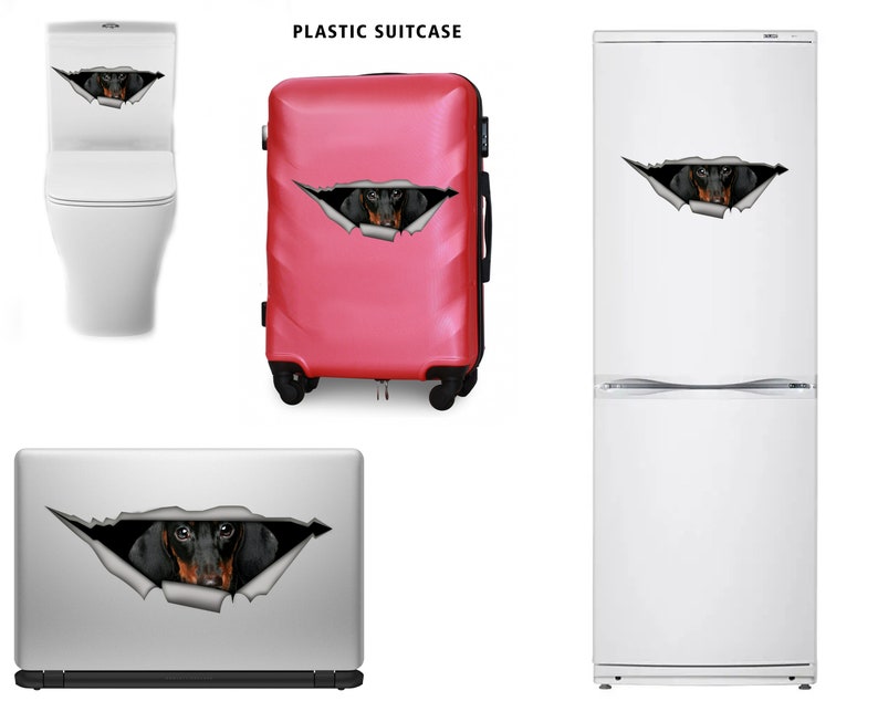 May include: A black and brown dachshund dog peeking out of a torn hole on a variety of surfaces, including a toilet, a pink suitcase, a laptop, and a white fridge.