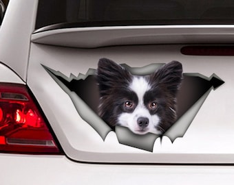 Black and White Pomeranian  sticker, Pomeranian magnet, car decal,  Pomeranian car decal