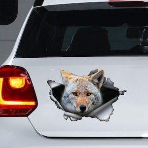 Calcomanía de coche Coyote, imán Coyote, pegatina Coyote