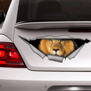 May include: A white car with a lion's face peeking out of a ripped hole in the back window. The lion has a brown mane and a serious expression.