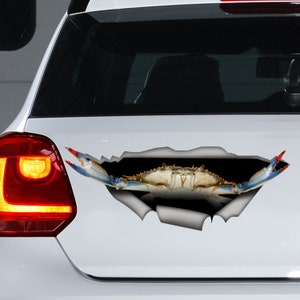 Fish on Fishing Decal Sticker for Car Truck SUV Van Window Wall