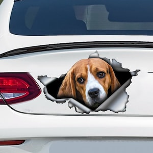 Beagle AutoAufkleber, Beagle Magnet, Beagle Sticker, Autodekoration