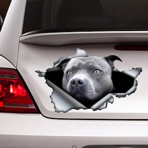 Blue pitbull car decal , pitbull magnet, car decoration, pitbull car sticker ,  Blue pitbull sticker