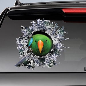 eclectus roratus window sticker, car sticker, parrot car decal, funny sticker, green eclectus