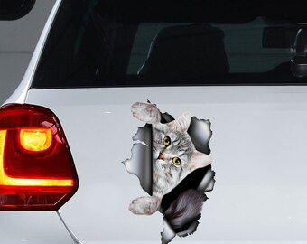 Gray Tabby Cat decal , Gray Tabby Cat magnet, Gray Tabby Cat sticker, Gray Tabby Cat car decal