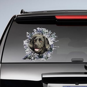 May include: A black Labrador Retriever dog's head peeks through a broken window pane, creating a cool and unique design for a car sticker.
