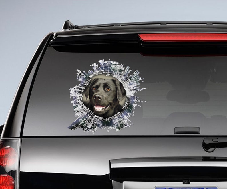 May include: A black Labrador Retriever dog's head peeks through a broken window pane, creating a cool and unique design for a car sticker.