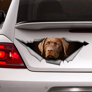 Сhocolate Labrador Decal, Сhocolate Labrador  magnet, chocolate Retriever Decal, Сhocolate Labrador sticker,  Car Decal, Laptop Decal