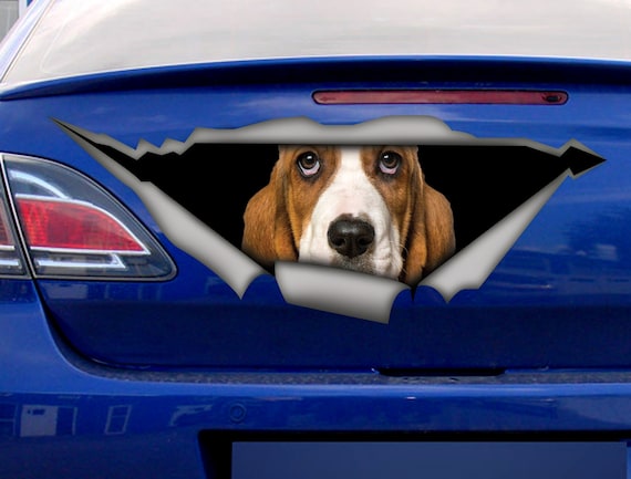 Lustige Führerschein-Glückwunschkarte – „Congratulations You Passed Your Driving Test“ Mit Basset Hound Im Oldtimer (160x160 Mm)