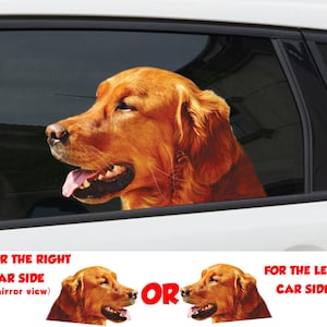 Golden retriever window decal, car sticker, Golden retriever sticker