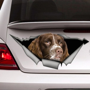 Springer Spaniel Autoaufkleber, Hundeauto Aufkleber, Spaniel Autoaufkleber, Springer Spaniel Magnet