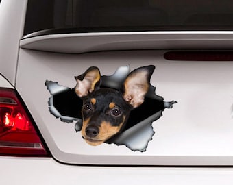 Calcomanía de coche pinscher en miniatura, imán pinscher miniatura, decoración del coche, pegatina pinscher