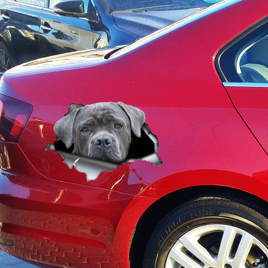 Gray Cane Corso car decal Gray Cane Corso Gray Cane Etsy