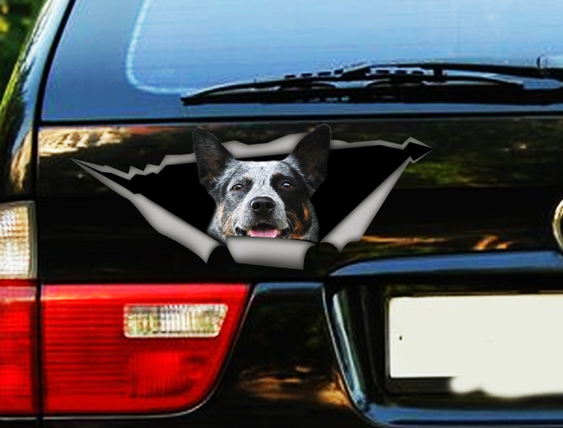 Blue Heeler Car Decal Vinyl Decal Car Decoration Funny Etsy Australia