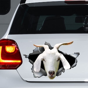 Kiko goat car decal, Kiko goat magnet, Kiko goat car sticker, goat decal, farm decal